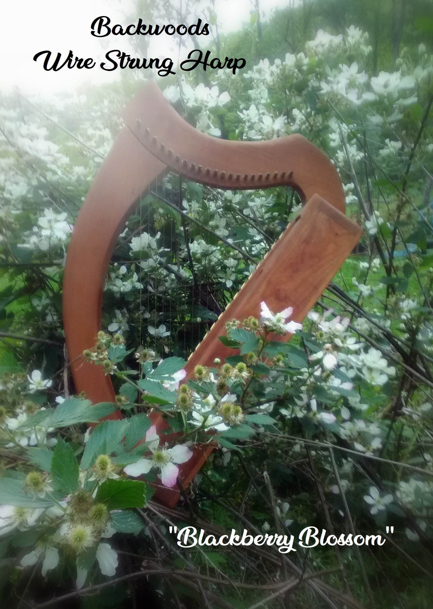 the backwoods wire strung harp